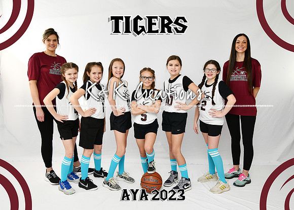 5X7 TIGERS G9-10 DANA TEAM