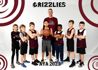 5X7 GRIZZLIES B9-10 TEAM