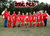 CODE RED- MCALISTER