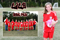LILY VERBURG MEM MATE