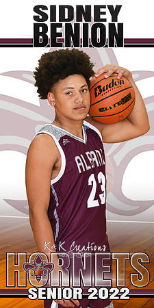 SIDNEY BENION BANNER
