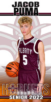 jacob puma banner