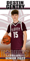 destin gentry banner