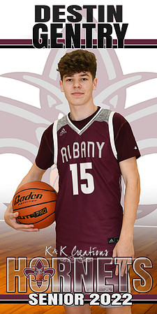 destin gentry banner