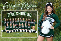 ally-maree pena memory mate