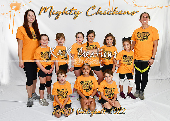 5x7 mighty chickens team