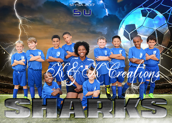 5X7 5U PELTIER SHARKS TEAM