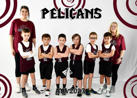 Pelicans B7-8 Haley Thorn
