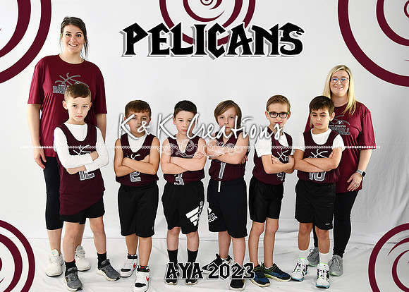 5X7 PELICANS B7-8 HALEY TEAM