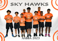 SKY HAWKS