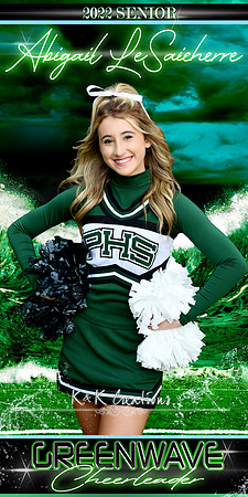 abigail lesaicherre banner