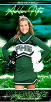 ashlen pitre banner
