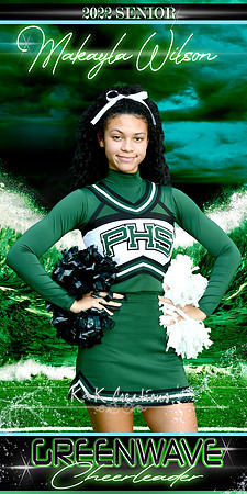 makayla wilson banner