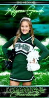 alyssa gaude banner