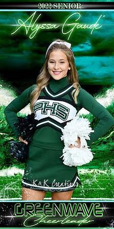 alyssa gaude banner