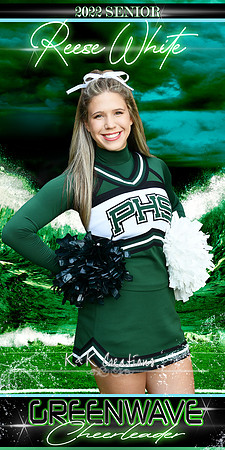 reese white  banner