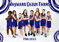 5x7 WAYWARD CAJUN FARMS 9-11 TEAM
