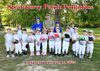 TBall Strawberry Patch Pediatrics