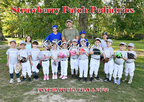 5x7 strawberry patch pediatrics tball team