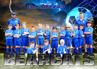 5X7 8U MCKINNEY BEARCATS