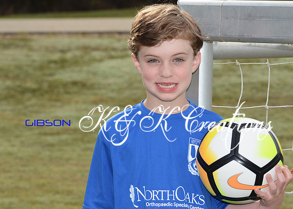 GIBSON ROSS_0044