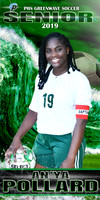 ANYA POLLARD BANNER