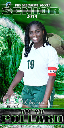 ANYA POLLARD BANNER