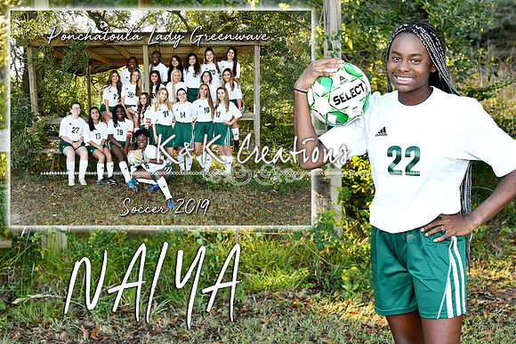 NAIYA HUNTER MEMORY MATE