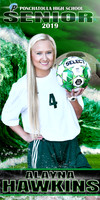 ALAYNA HAWKINS BANNER