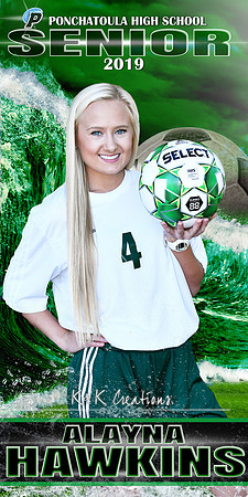 ALAYNA HAWKINS BANNER