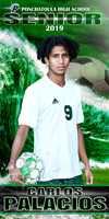 CARLOS PALACIOS BANNER