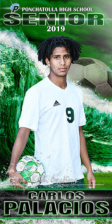 CARLOS PALACIOS BANNER