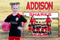 ADDISON MCCAMMON MEMORY MATE