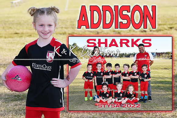 ADDISON MCCAMMON MEMORY MATE