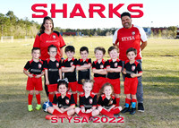 SHARKS - Coach Rene Zeron
