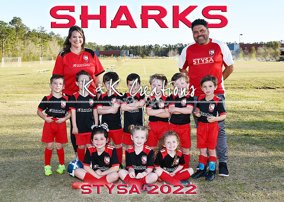 5x7 sharks team rene zeron