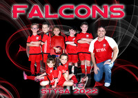 5X7 FALCONS SAL PRESCIA TEAM