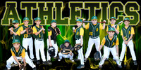 Ponchatoula A's Baseball 2015