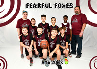 5X7 FEARFUL FOXES B11-12 WHITNEY