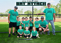 BAT ATTACK