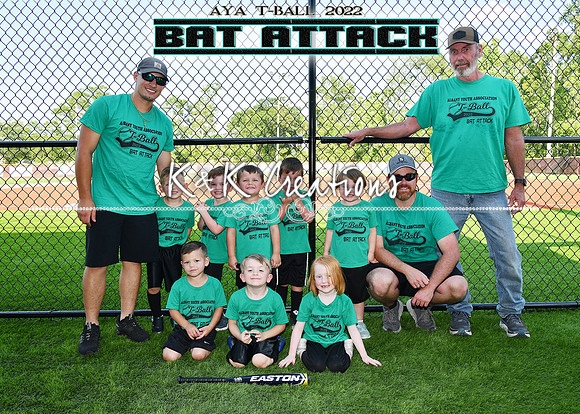 5x7 bat attack team