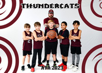 Thundercats B9-10 Derek Moss