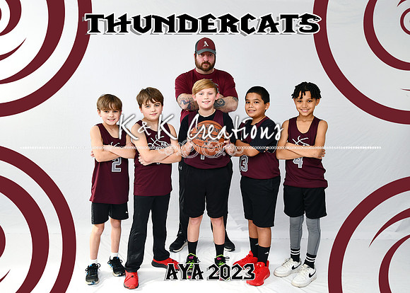 5x7 THUNDERCATS B9-10 DEREK