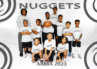 NUGGETS