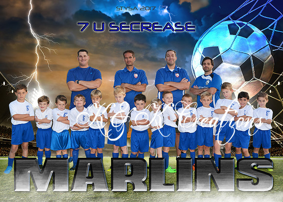 5X7 7U SECREASE MARLINS STYSA 2017