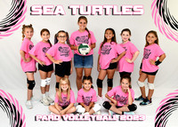 SEA TURTLES 7-9