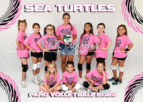 5X7 SEA TURTLES TEAM
