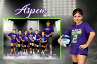 aspen garris mm