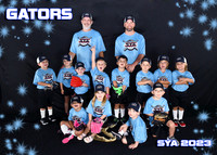 GATORS (LIGHT BLUE)