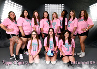 13-17 SUGAR & SPIKES